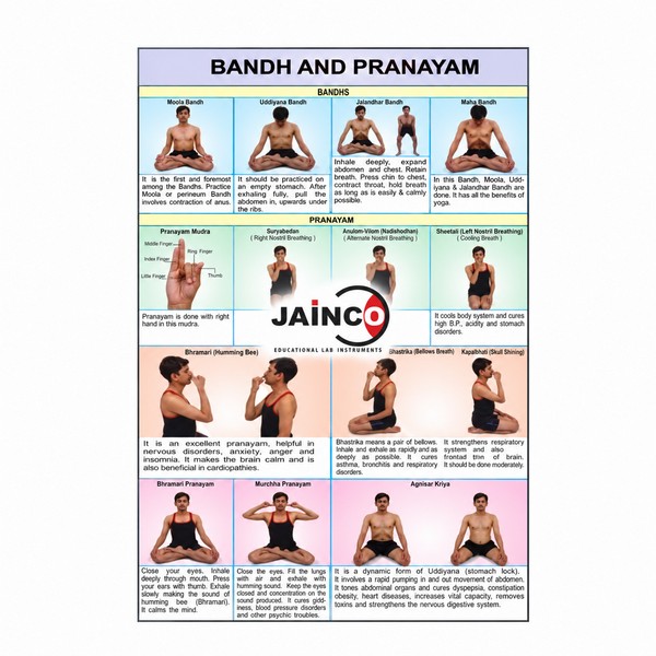 Bandhas and Pranayam Chart